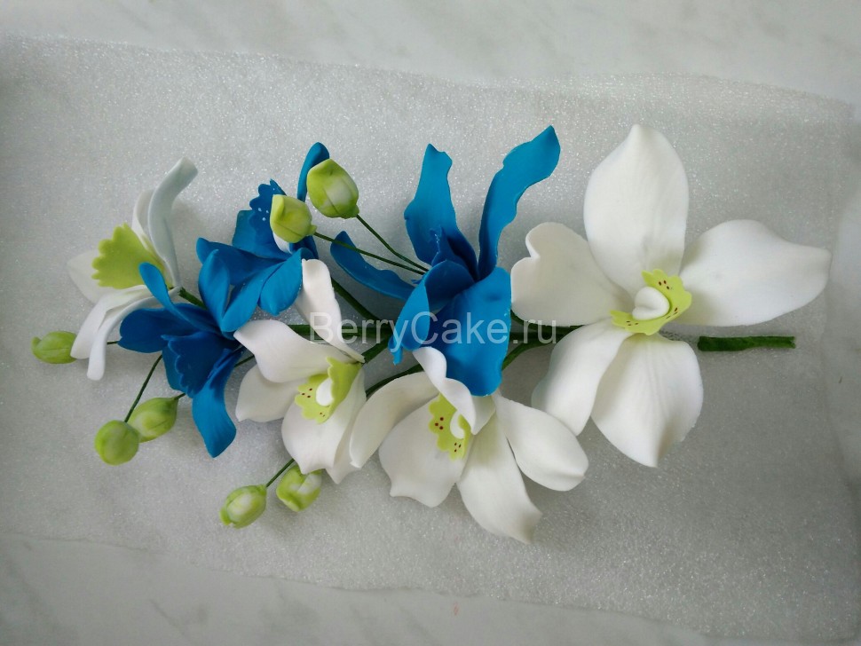 Ветка Орхидея бело синяя сахар Б30