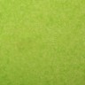 Бумага упаковочная тишью, зеленый, 50 см х 66 см