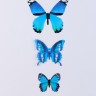 Набор для украшения «Бабочки», 12 шт, цвет голубой