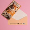Конверт для денег «Трать, я плачу», кот, 16,5 × 8 см